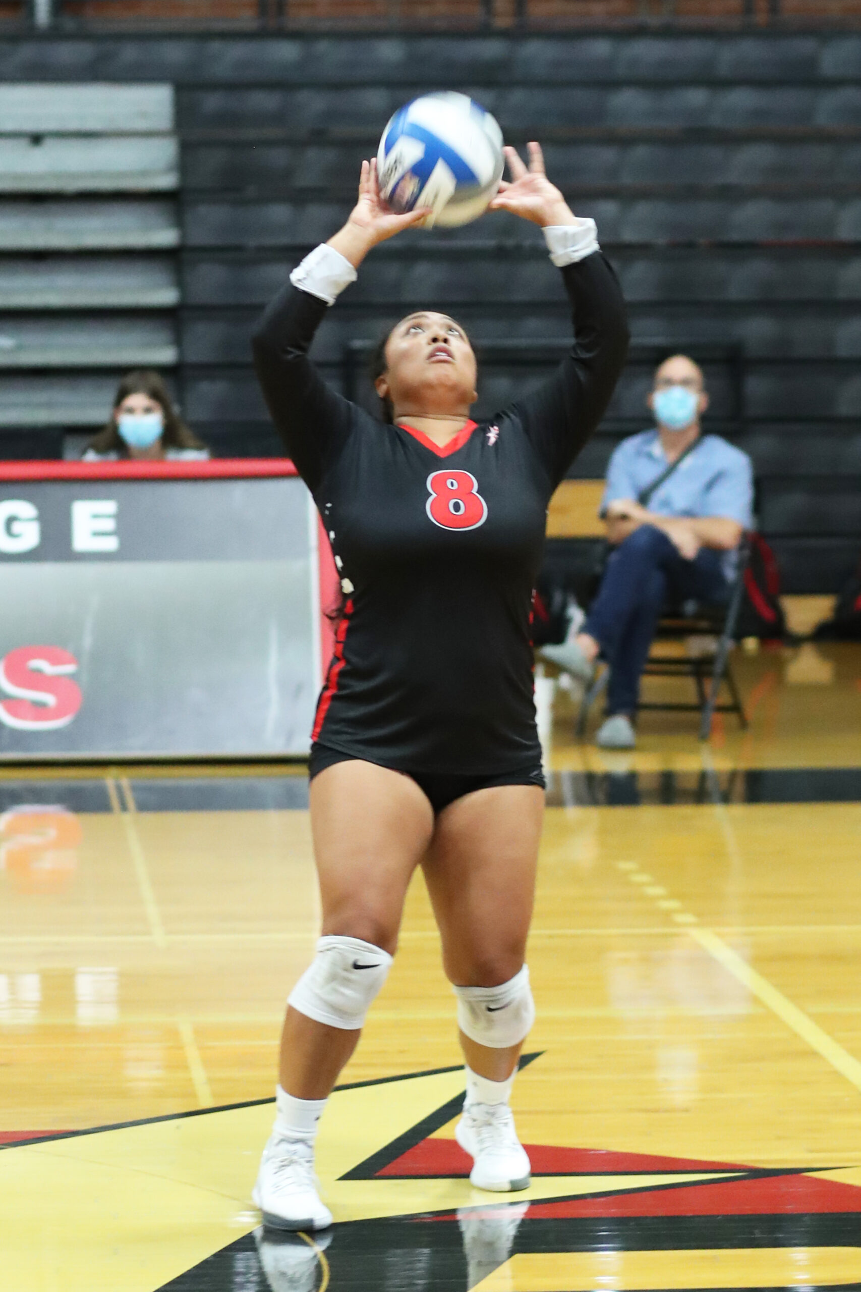 A female Palomar volleyball player (8) sets a volleyball with both hands. She wears a black jersey, black shorts and white knee pads.