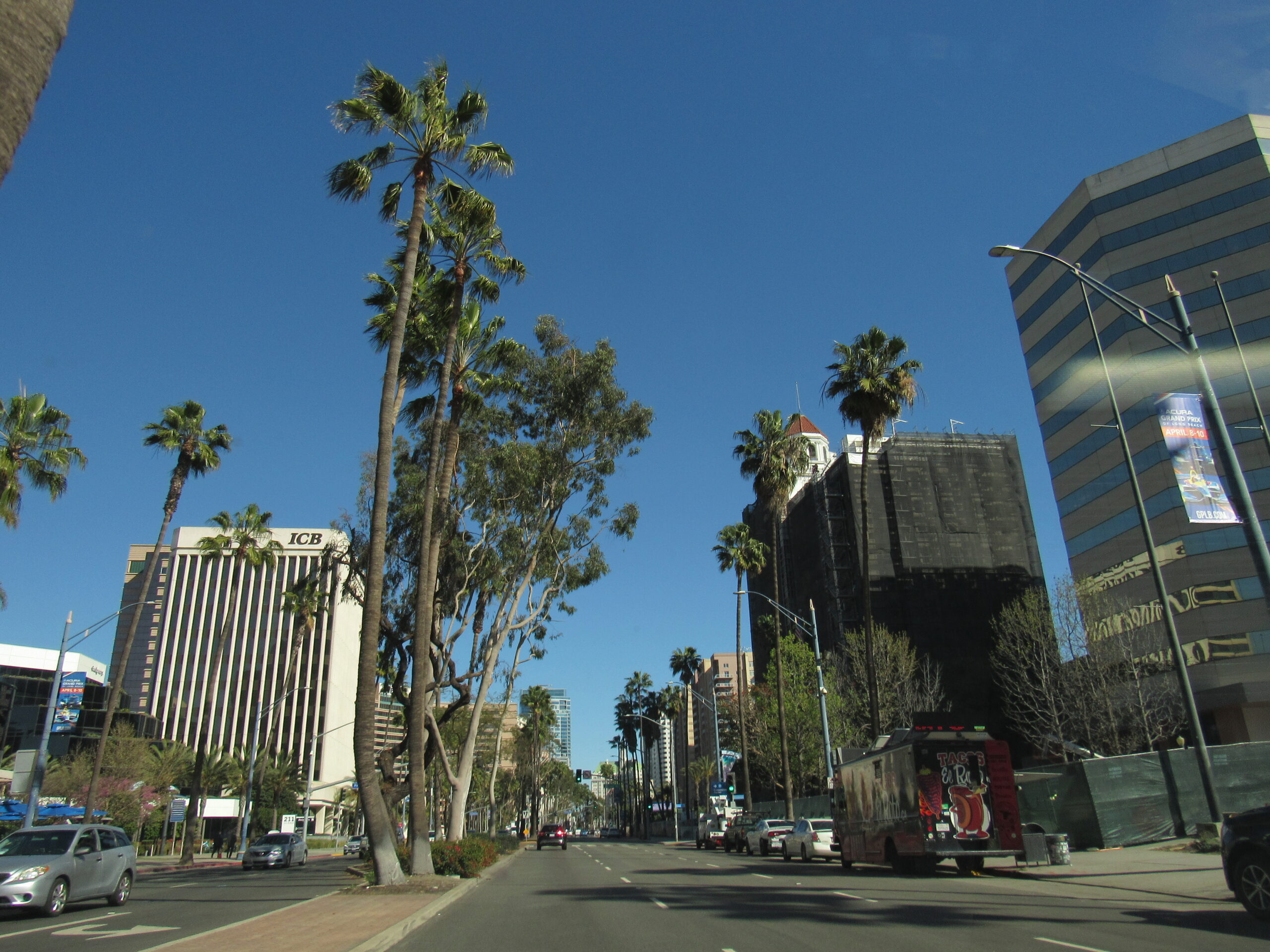 Street of Downtown Long Beach with palm trees and tall office buildings on the sides.