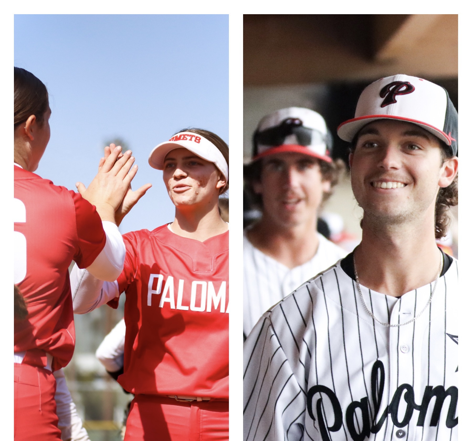 A collage of two female Palomar softball players giving each other a high five and two male Palomar baseball players smiling to the viewers' left.