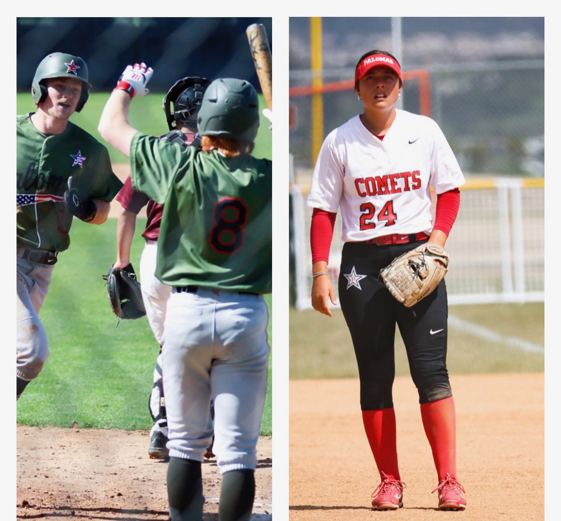 Three Palomar baseball players wearing green jersies and white pants greet each other on the baseball field on the left panel of the picture frame. Right panel shows a female Palomar softball player standing on the field with a catcher's mitt in her left hand.