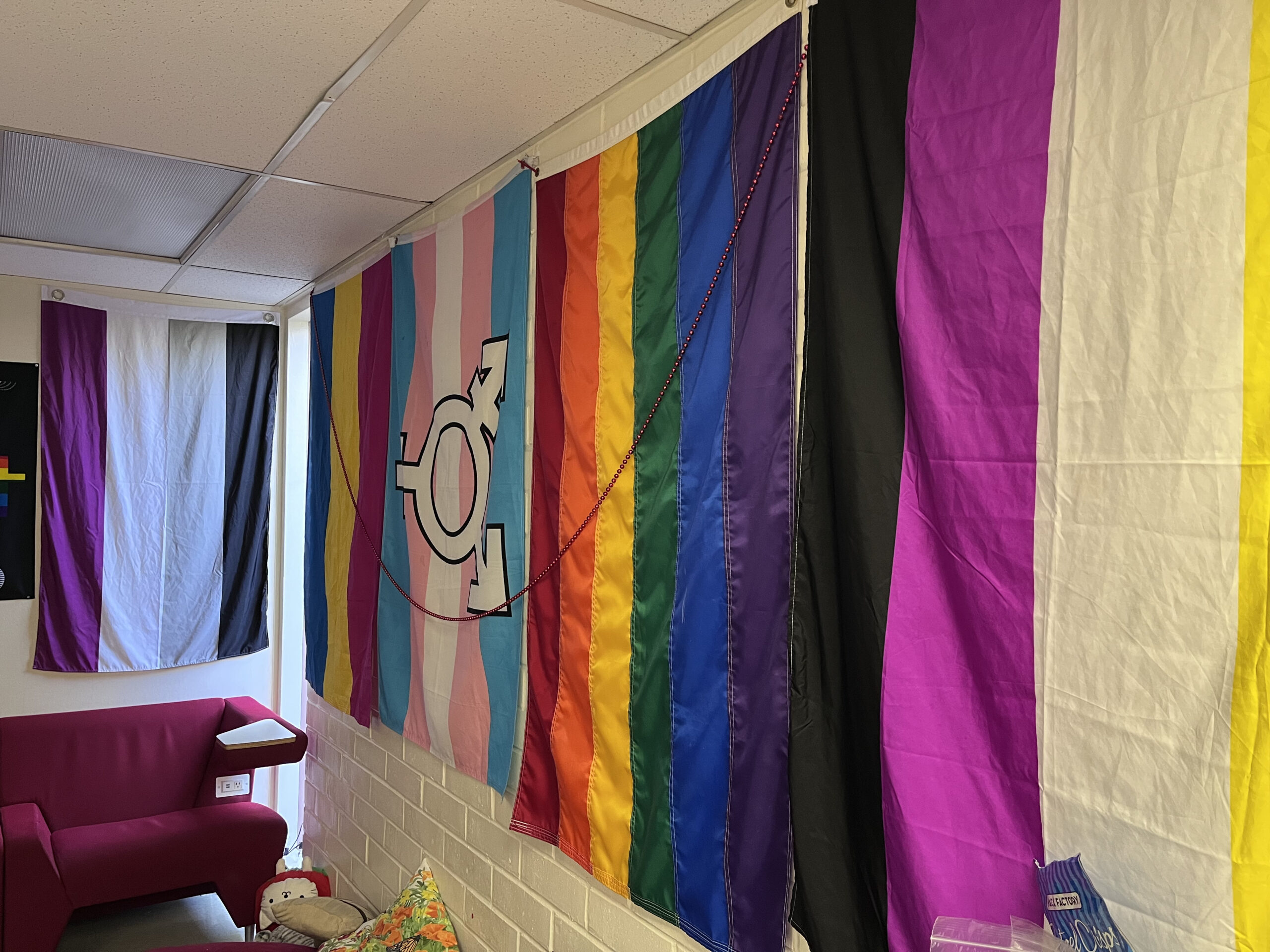 Pride flags line the walls inside of Palomar College's Pride Center