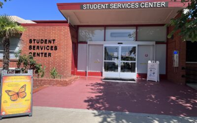 Volunteer Opportunities For Palomar Students