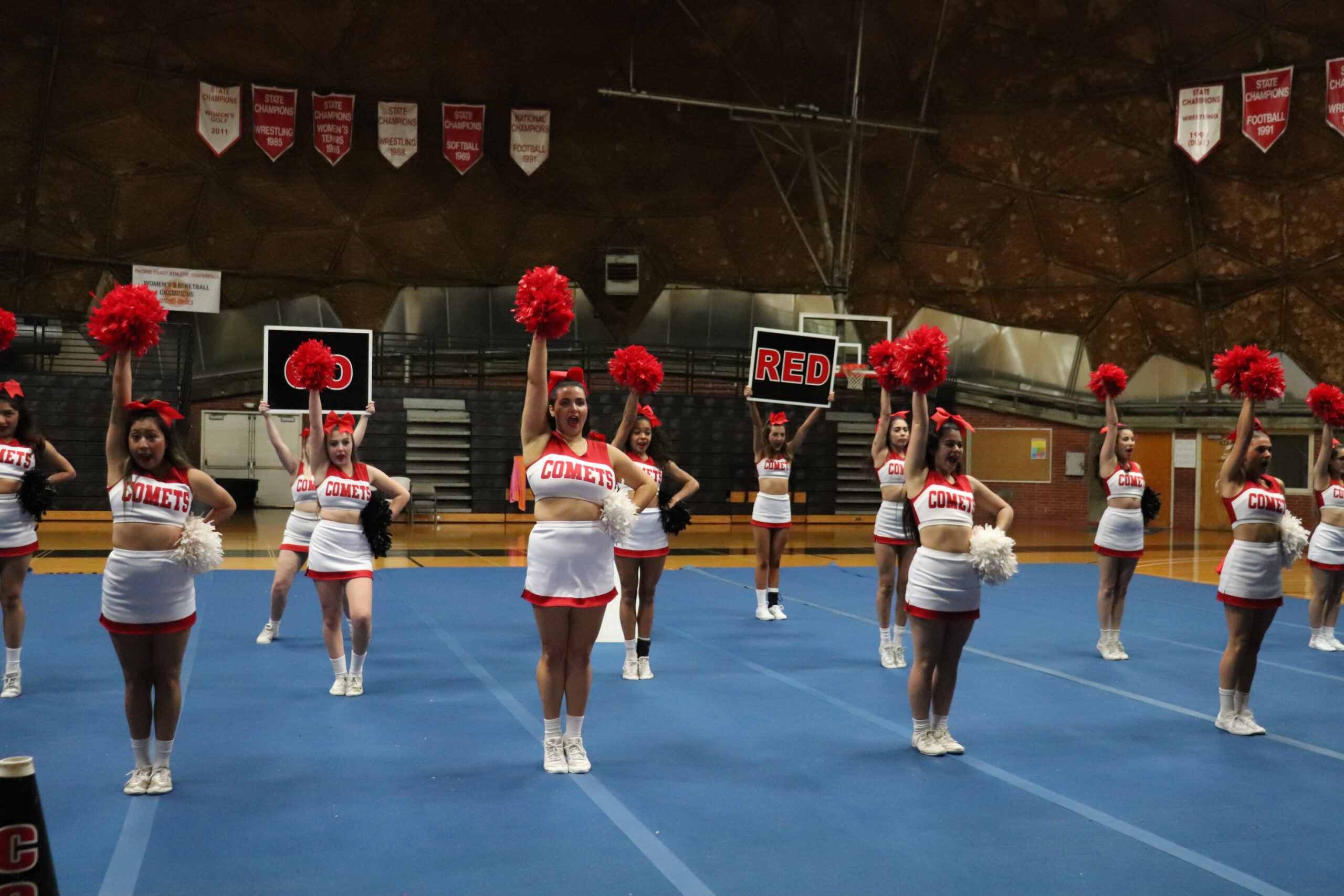 A line of cheerleaders wearing white and red uniforms pose with their red pom poms in the air.