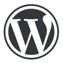 What’s New in WordPress? (Spring 2023)