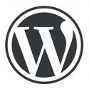 The (New) WordPress Block Editor